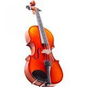 Nagoya Suzuki NS20FEO12 Violin