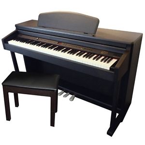 Axus D2 Electric & Digital Piano
