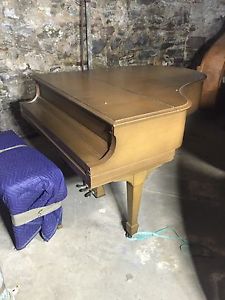STEINWAY & SONS MODEL M