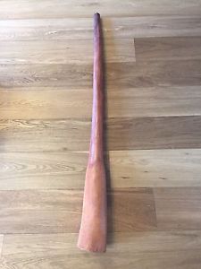 Genuine Termite Hollowed Eucalyptus Didge Didgeridoo