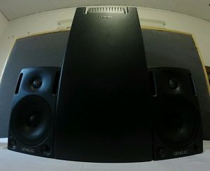 !!! TODAY ONLY !!! Genelec 1029a pair / 1091a Sub 2.1 Studio Monitor System