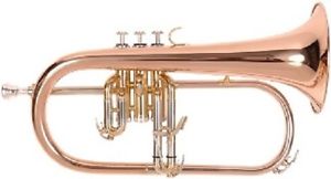 Odyssey OFG1300SG Premiere Flugel Horn