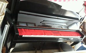 pianoforte Steinberg