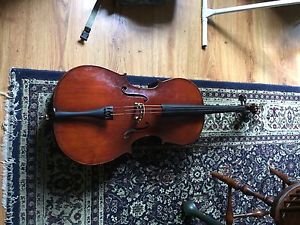 Eastman 305 Cello Package 4/4