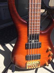 Modulus Quantum Q5 Electric Bass Guitar
