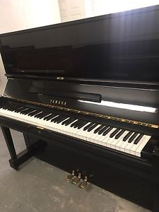 Yamaha U3 Upright Piano Black Reconditioned **3 Yr Guarantee