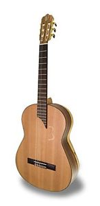 APC Instruments 8C MX Chitarra Classica