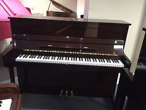Nieser Traditional Upright - Rosewood polyester Finish - 0% Finance