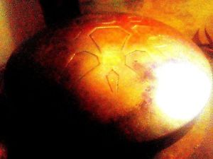 FASTShip: LOTUSDRUM - Artisan-Made handpan - steel drum u can get the hang of