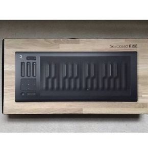 Roli Seaboard Rise 25 Key Equator Synth Package AND Flip Case Included