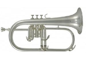 Roy Benson RB FH-302S Flugel Horn