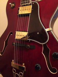Custom Epiphone Emperor II Electric Guitar