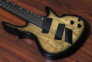 Halo Custom Guitars Seraphim 8 String Multi-Scale Fanned Fret EMG 909X