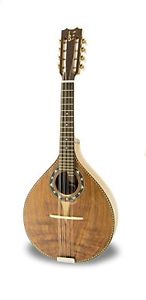 APC Instruments MDL312 KOA Mandolini