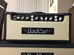 Bad Cat Hot Cat 30 Head