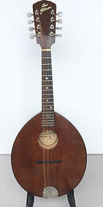 1980 Flatiron mandolin