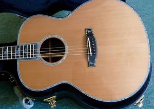 Terry Pack LJCC new model, one of a kind, solid coco-bolo, cedar, indescribable