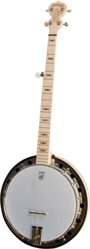 Deering Goodtime Special 5-String Banjo