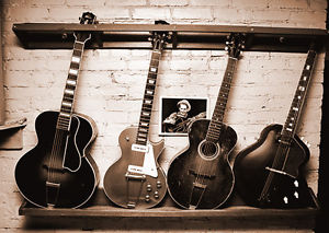 nice beautiful guitar