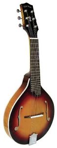 Gold Tone GM-6 Octave Mandolin (Maple)