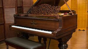 Rare Steinway Model B Rosewood Grand Piano - FREE Delivery in USA