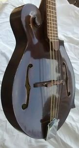 EdwardBurgess mandolin #130 f style antique violin finish virzi tone producer