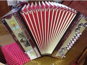 Steirische Harmonika Alpenland GCFB mit Koffer & Riemen