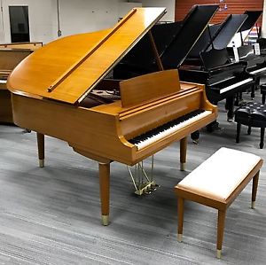 Steinway & Sons RARE Model M Contemporary Grand Piano 5'7" with bench 1956