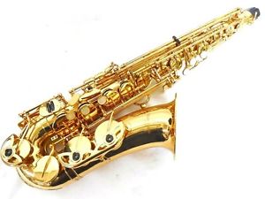 YANAGISAWA A-901 Special Alto Saxophone T2235288