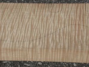 Eastern Maple Ribbon Dense Rippled Curl LP Billet Private Reserve (CM2-17)