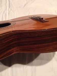 Vintage Cordoba Classical Guitar Brazilian Rosewood