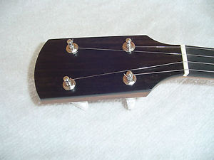 Bart Reiter Buckbee Open Back 5-String Banjo