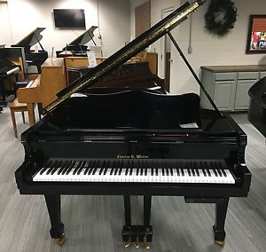 Charles R. Walter Grand Piano W-175 5'9" with Piano disc player!