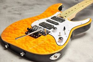 SCHECTER SD-2-24 Amber Electric Free Shipping