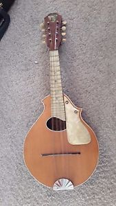 Vintage Mandolin - 1930's B&J Serenader