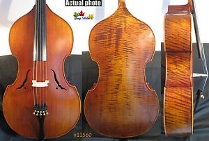 baroque style SONG Brand Maestro 5 string 4/4 cello,deep and big sound #11560