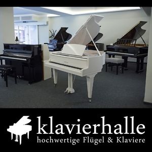 Weisser Flügel, exklusives Designmodell von W.Biese, 140cm, weiß /silber poliert