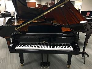 Perzina Grand Piano GP-152 Beautiful Ebony Gloss 5'1 Slightly used!