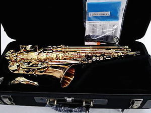 Yanagisawa A-WO2 Alto Saxophone Sax W/Hard Case Japan Japanese 1 Year Warranty