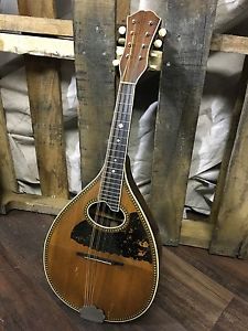 vintage Larson Brothers 20's Leland Brilliantone Mandolin Brazilian rosewood