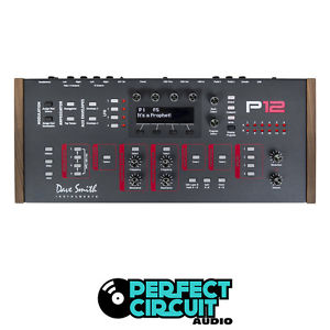 Dave Smith Instruments DSI Prophet 12 Module SYNTH - DEMO - PERFECT CIRCUIT