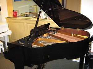 Steinmeyer Baby Grand Piano ex showhome SALE PRICE