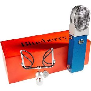 BLUE BLUEBERRY Professional Large Diaphragm Studio Microphone Shockmount & Case
