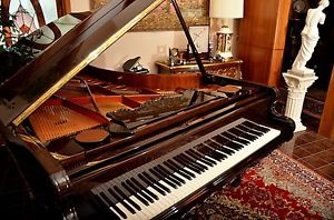 rare BOSENDORFER Model 225 "BAROQUE" / 7'4" Semi Concert Grand Piano