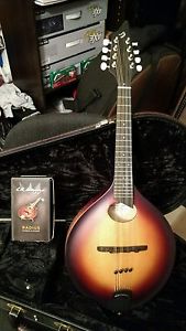 Breedlove American Mandolin Baggs Radius Pickup