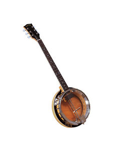 Gold Tone GT-750 Banjitar deluxe with case!