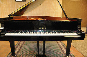 Yamaha C 6,  7' Semi Concert Grand  2011-12 Hardly played, Warm Tone, Big Sound
