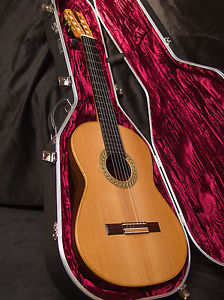 Classical concert guitar