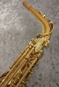 YANAGISAWA A-WO2 Used Alto Sax