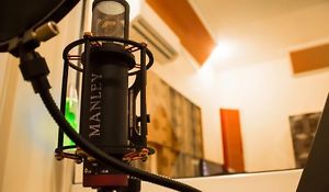 Manley Reference Cardioid Tube Condenser Microphone